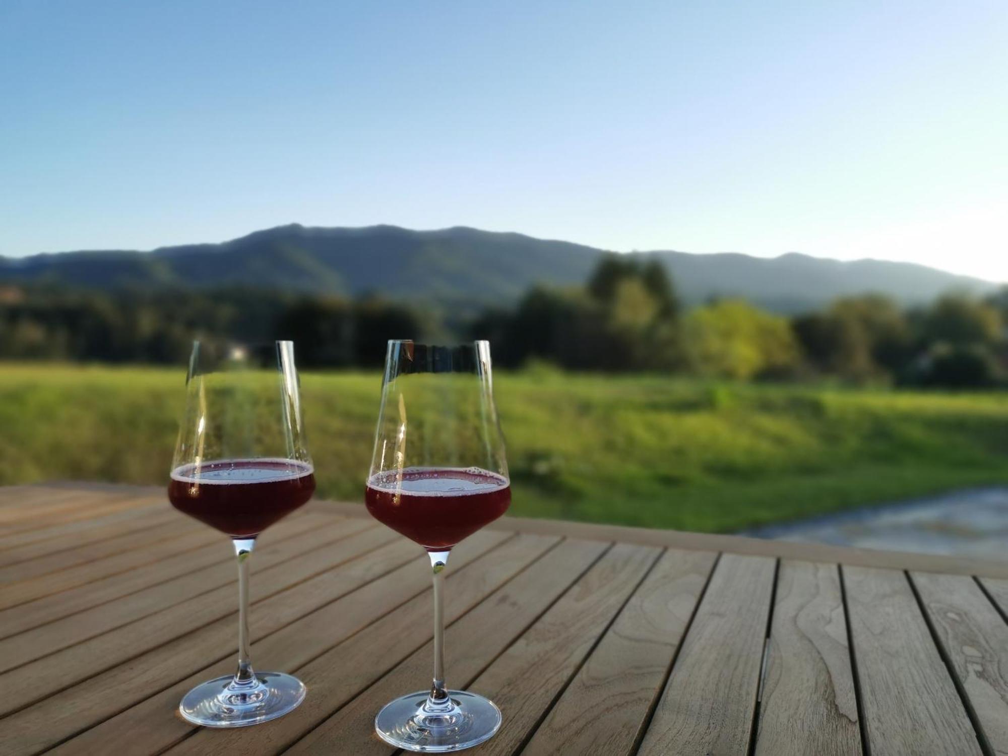 Traumhaftes Ferienhaus Am Lateinberg - 8455 Eibiswald Suedsteiermark Esterno foto