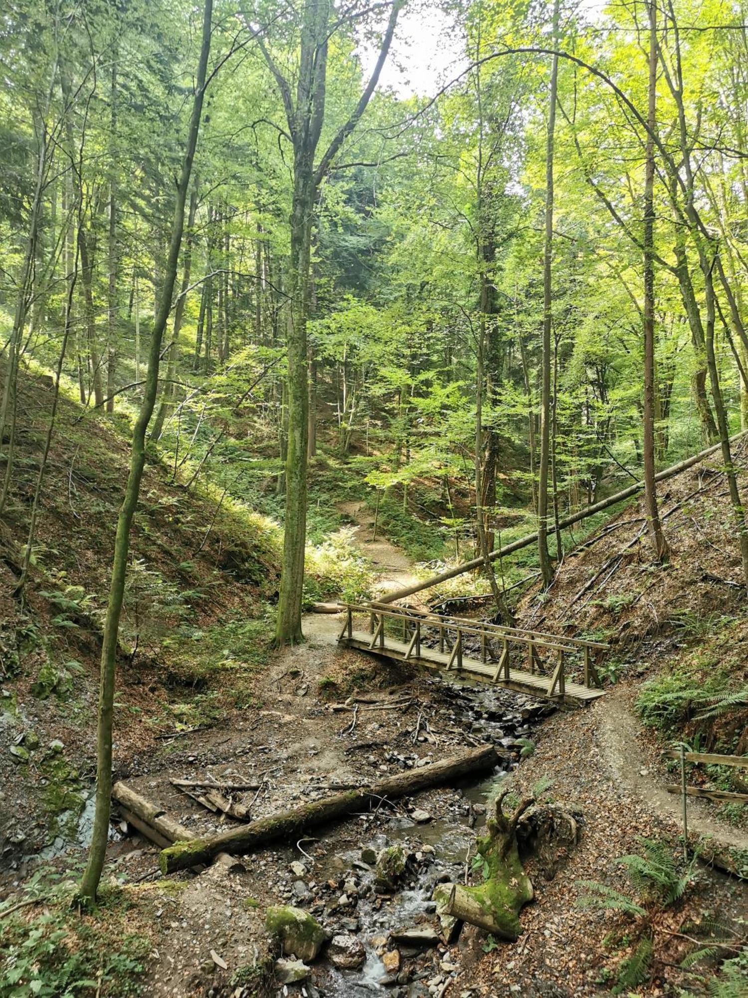 Traumhaftes Ferienhaus Am Lateinberg - 8455 Eibiswald Suedsteiermark Esterno foto