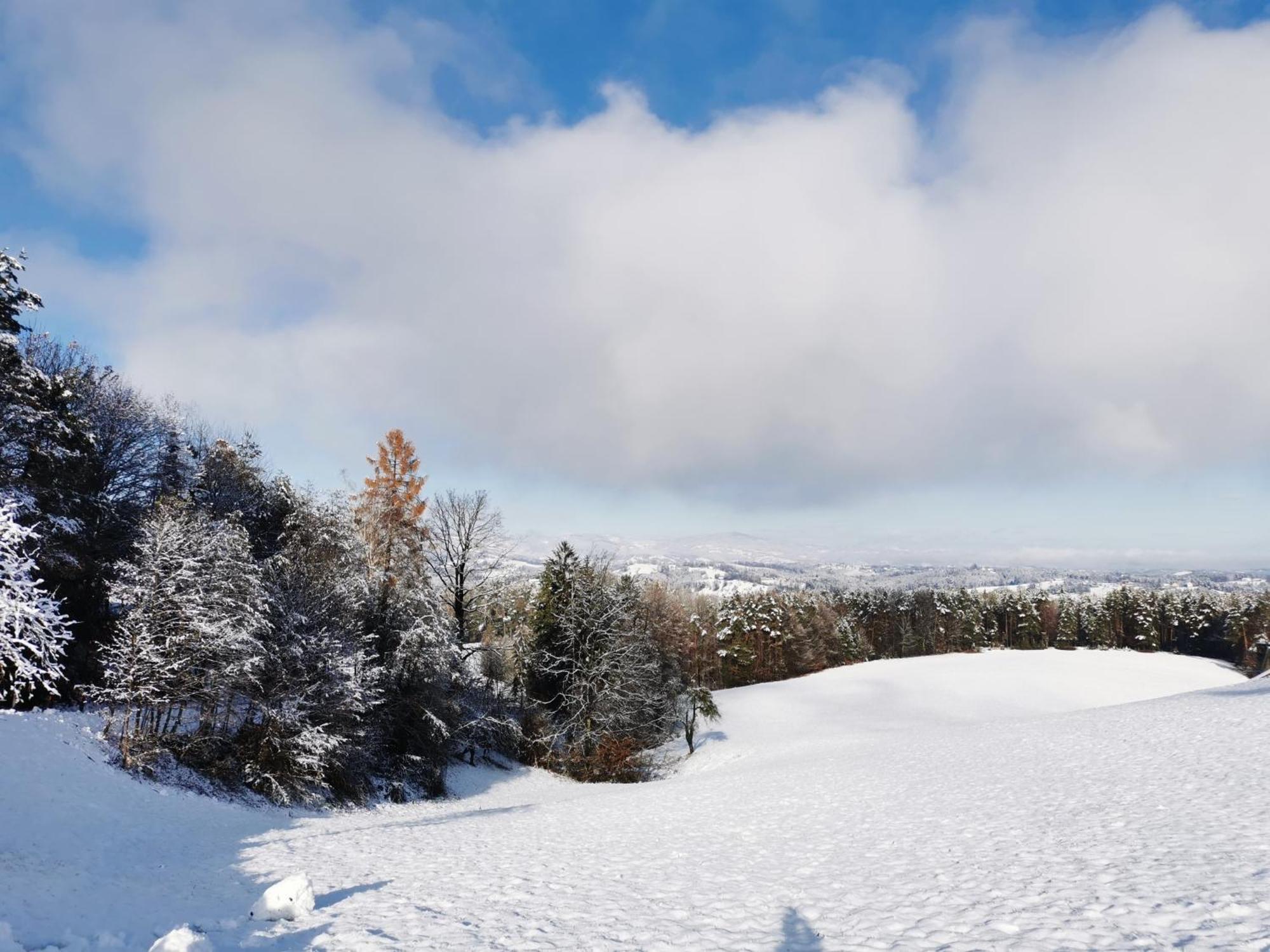 Traumhaftes Ferienhaus Am Lateinberg - 8455 Eibiswald Suedsteiermark Esterno foto