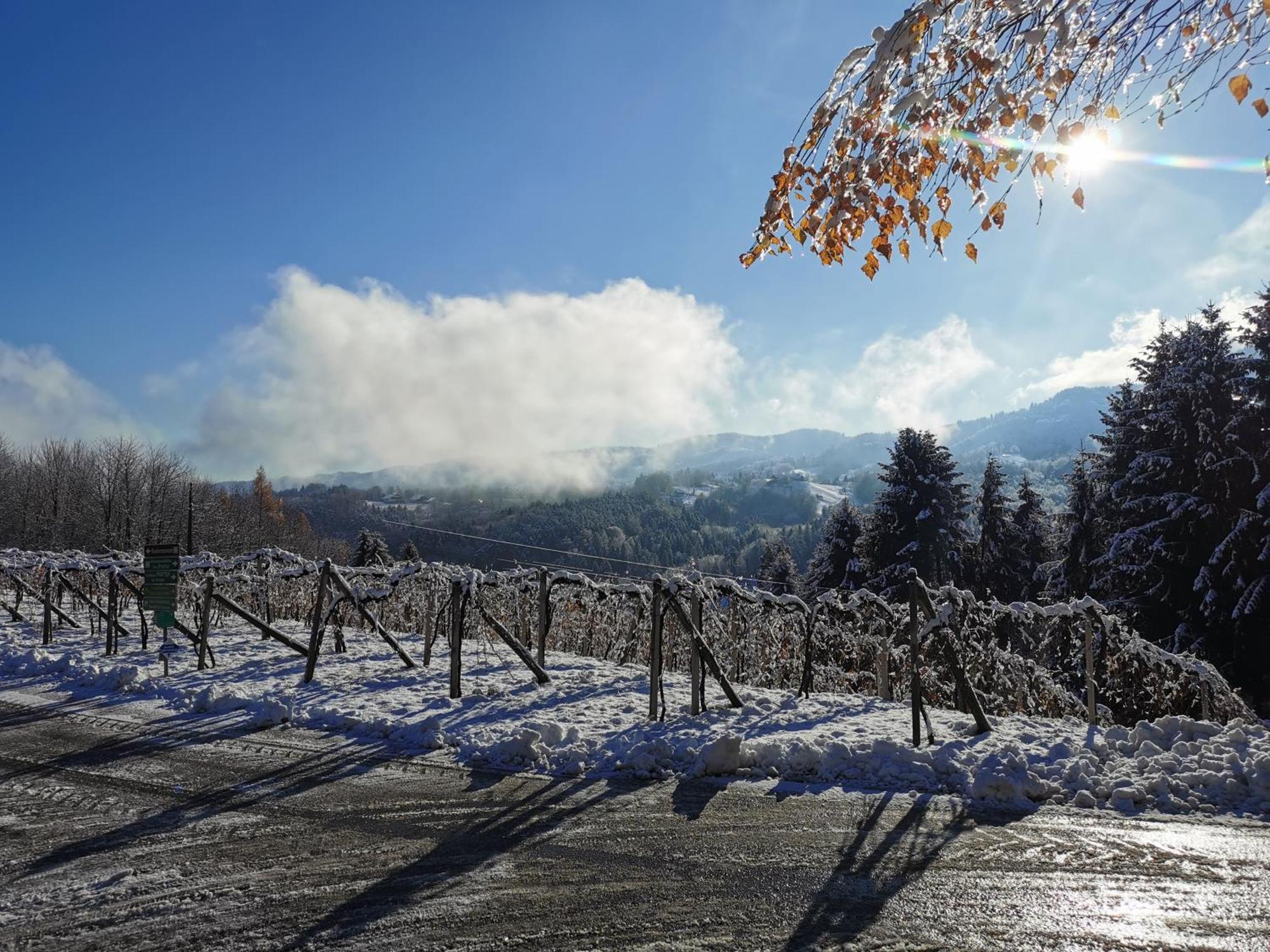 Traumhaftes Ferienhaus Am Lateinberg - 8455 Eibiswald Suedsteiermark Esterno foto