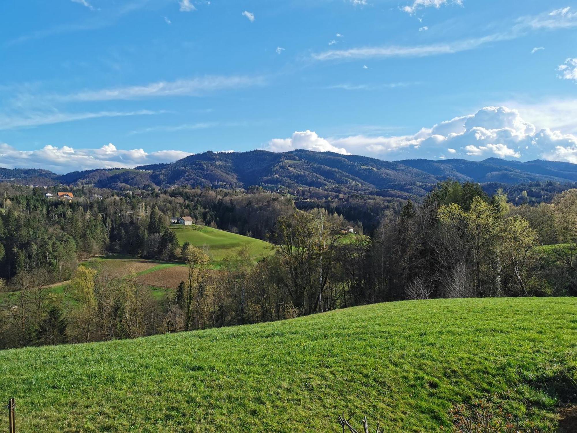 Traumhaftes Ferienhaus Am Lateinberg - 8455 Eibiswald Suedsteiermark Esterno foto